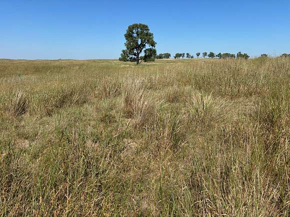 639.6 Acres of Agricultural Land for Sale in Bartlett, Nebraska