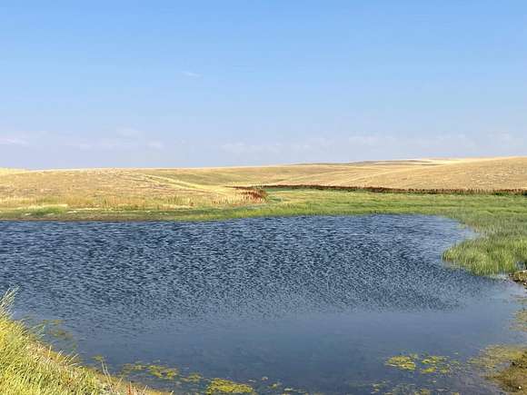 320.385 Acres of Agricultural Land for Sale in Chester, Montana