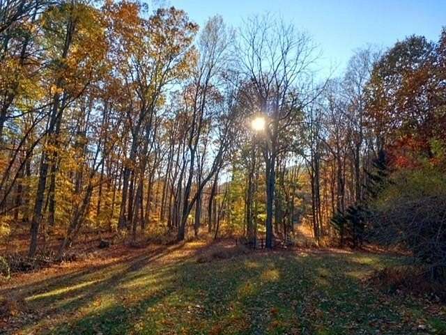 25.5 Acres of Agricultural Land with Home for Sale in Swoope, Virginia