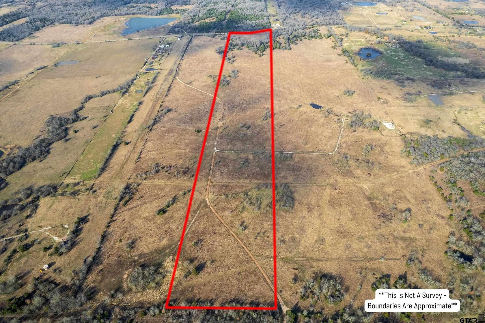 39.4 Acres of Agricultural Land for Sale in Talco, Texas