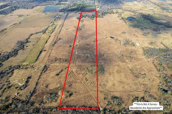 39.4 Acres of Agricultural Land for Sale in Talco, Texas