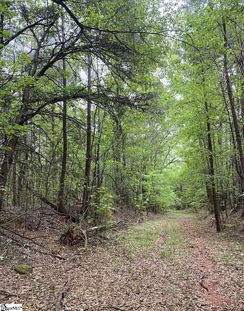 47.3 Acres of Mixed-Use Land for Sale in Wellford, South Carolina