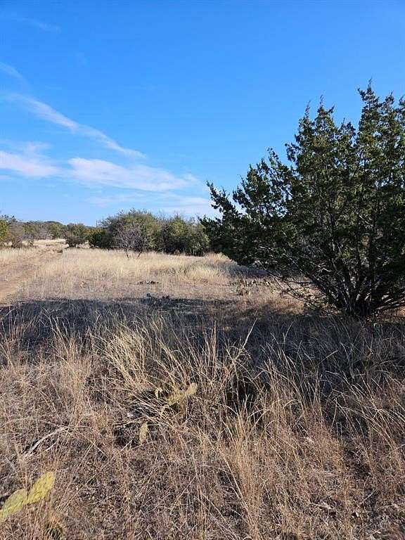 0.638 Acres of Land for Sale in Brownwood, Texas