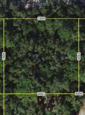 0.34 Acres of Residential Land for Sale in Webster, Florida