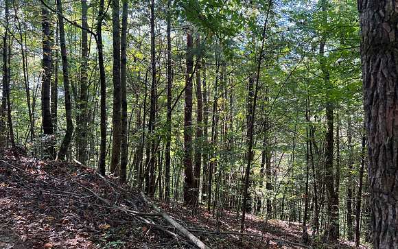 5 Acres of Residential Land for Sale in Ellijay, Georgia