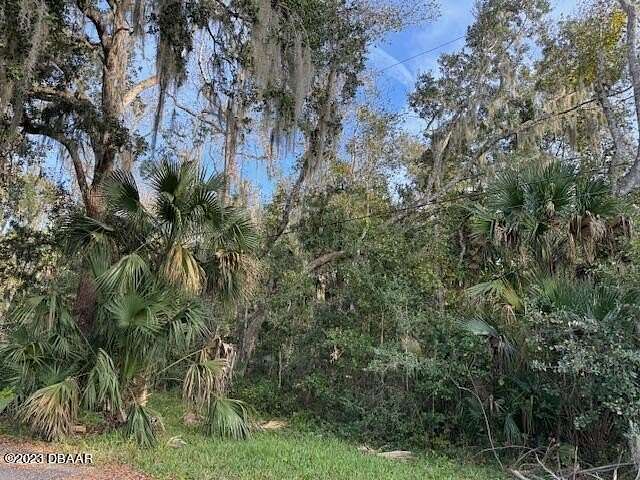 7.68 Acres of Residential Land for Sale in New Smyrna Beach, Florida