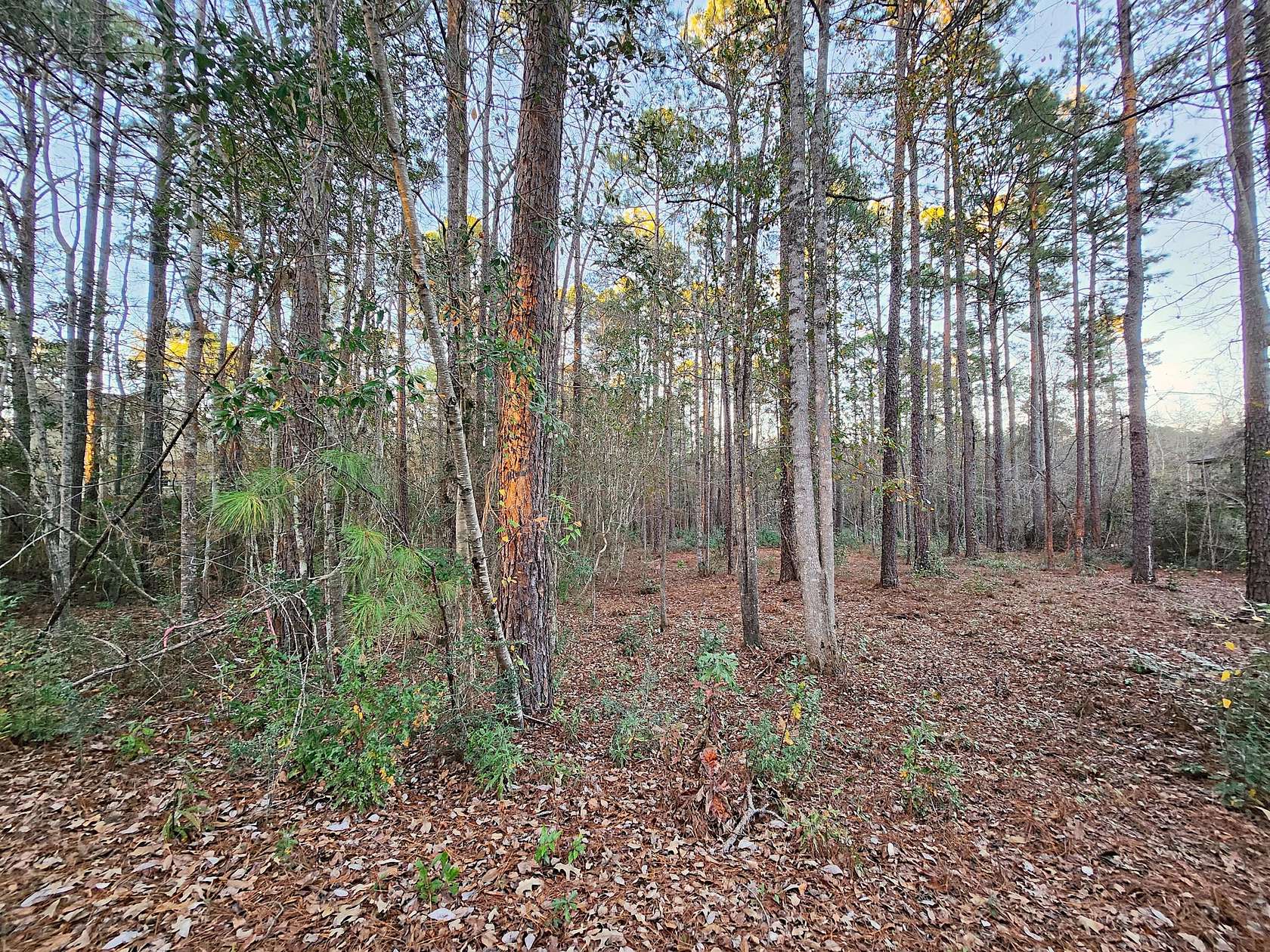 1 Acre of Residential Land for Sale in Hattiesburg, Mississippi