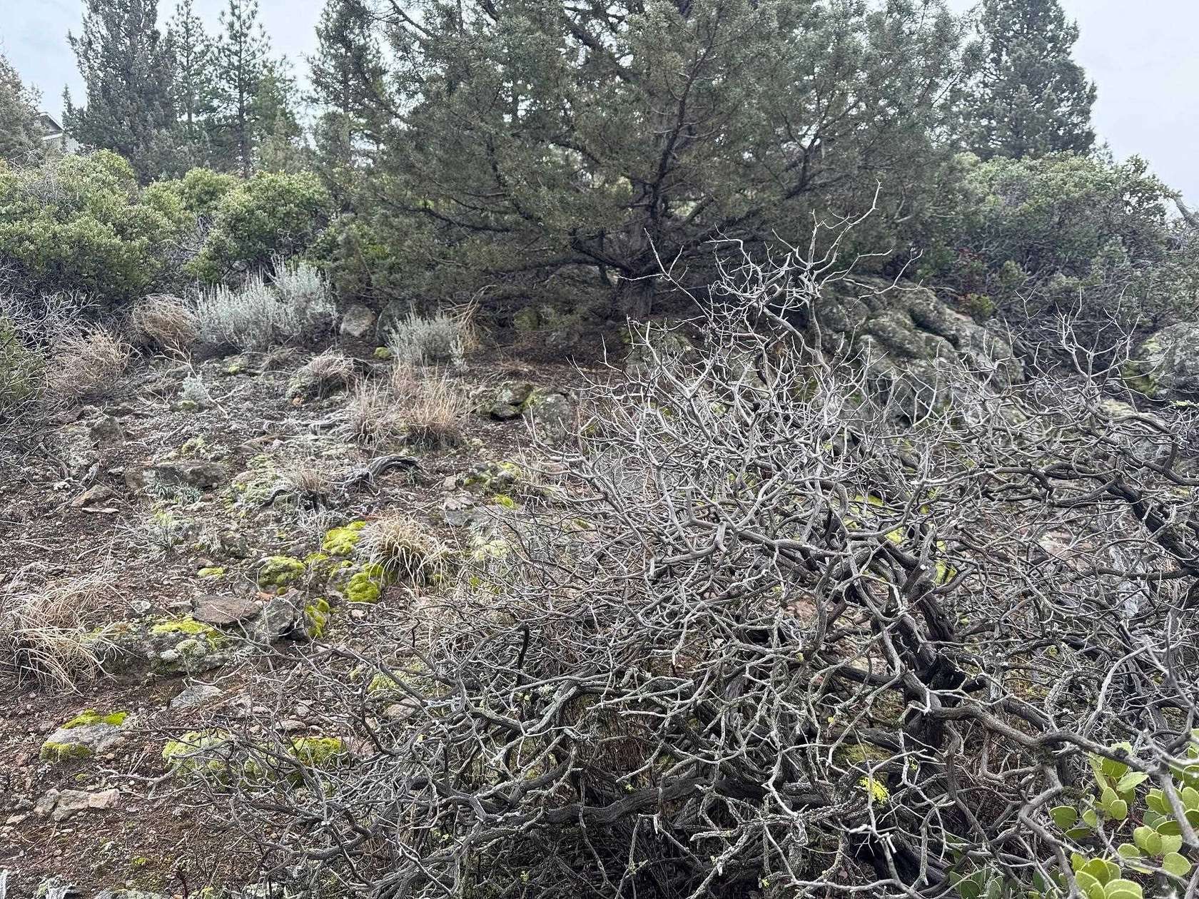 0.4 Acres of Land for Sale in Weed, California