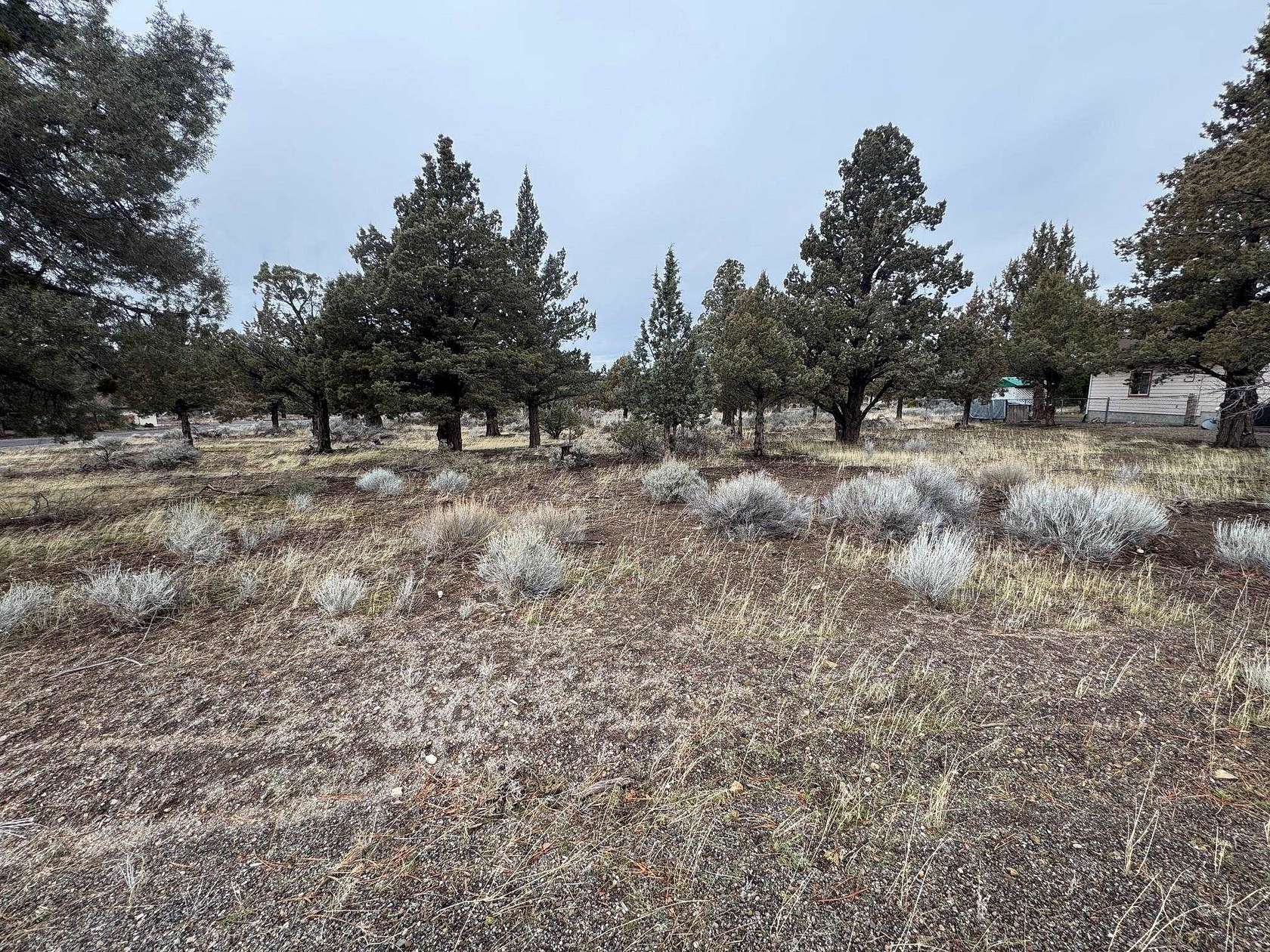 0.23 Acres of Residential Land for Sale in Weed, California