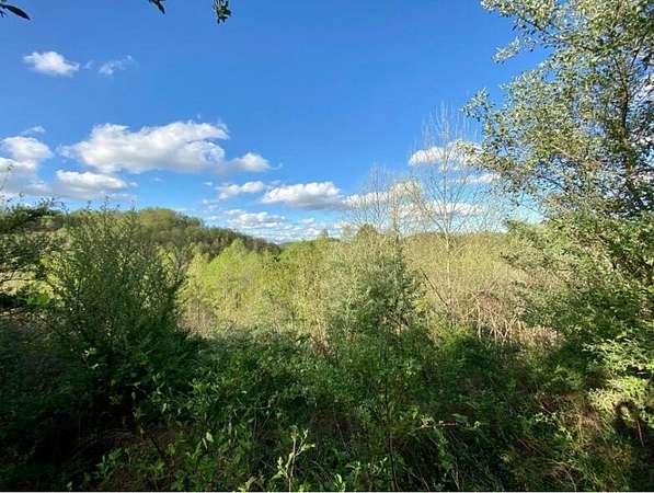 36.3 Acres of Land for Sale in Gays Creek, Kentucky