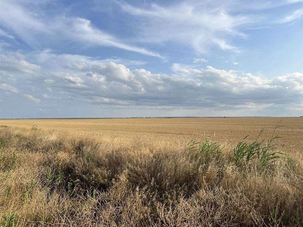 236 Acres of Agricultural Land for Sale in Merkel, Texas