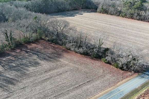 26.2 Acres of Agricultural Land for Sale in Nassawadox, Virginia