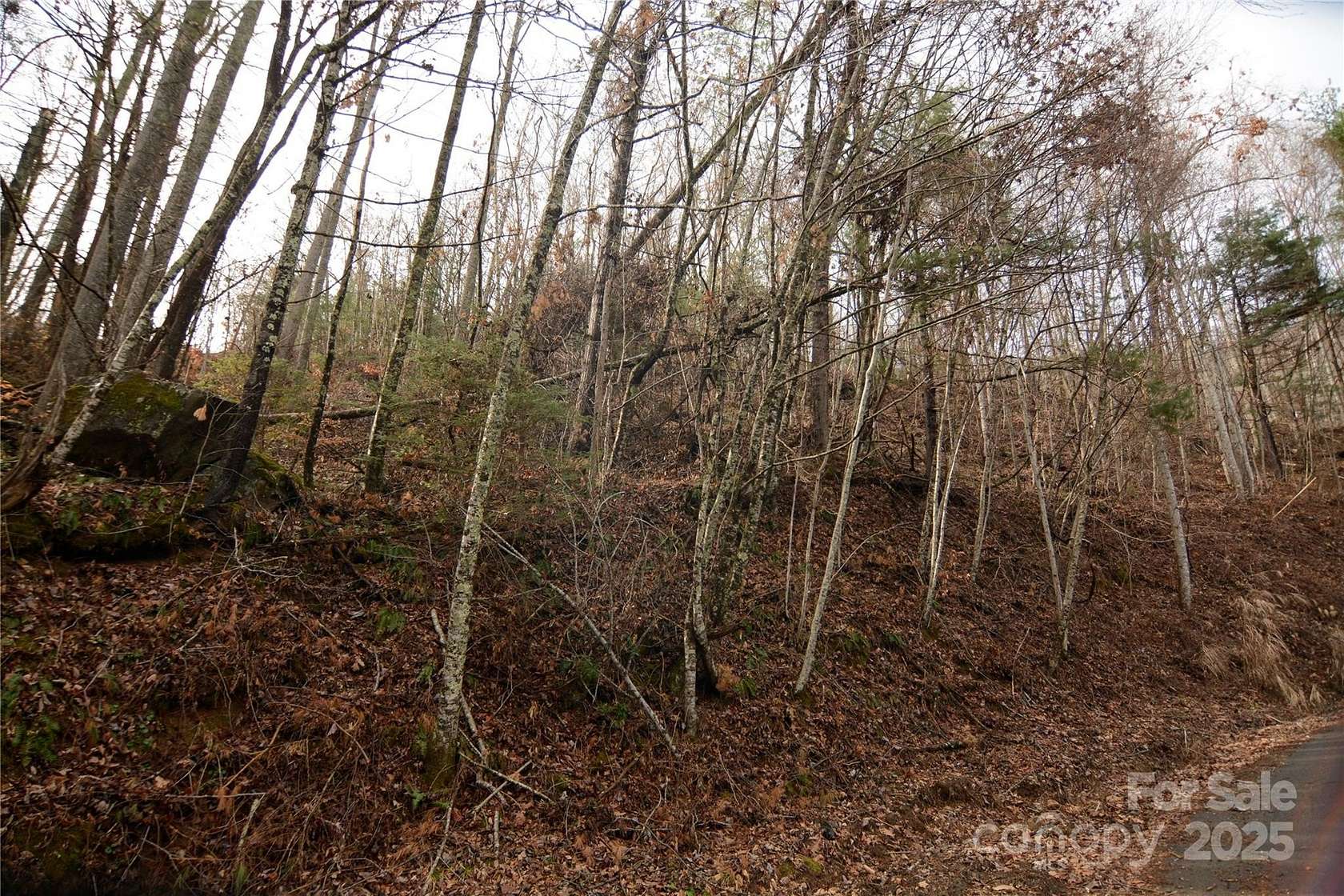 1.51 Acres of Land for Sale in Barnardsville, North Carolina