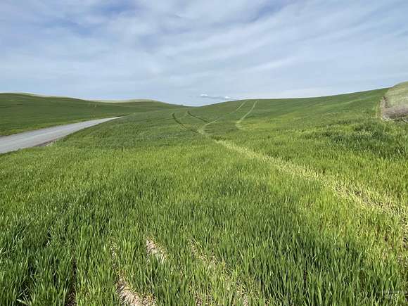 13.79 Acres of Land for Sale in Moscow, Idaho