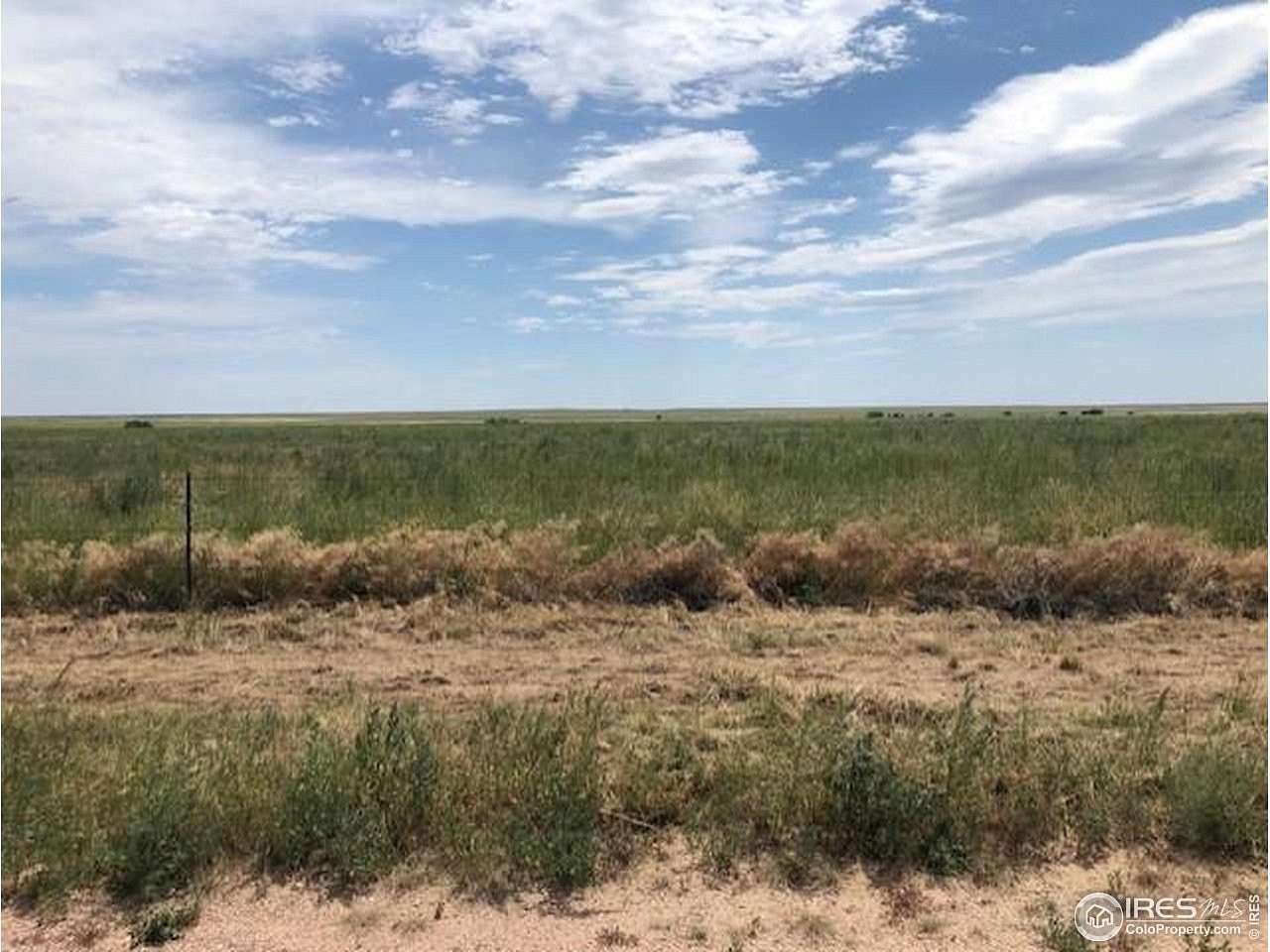 35 Acres of Agricultural Land for Sale in Pierce, Colorado