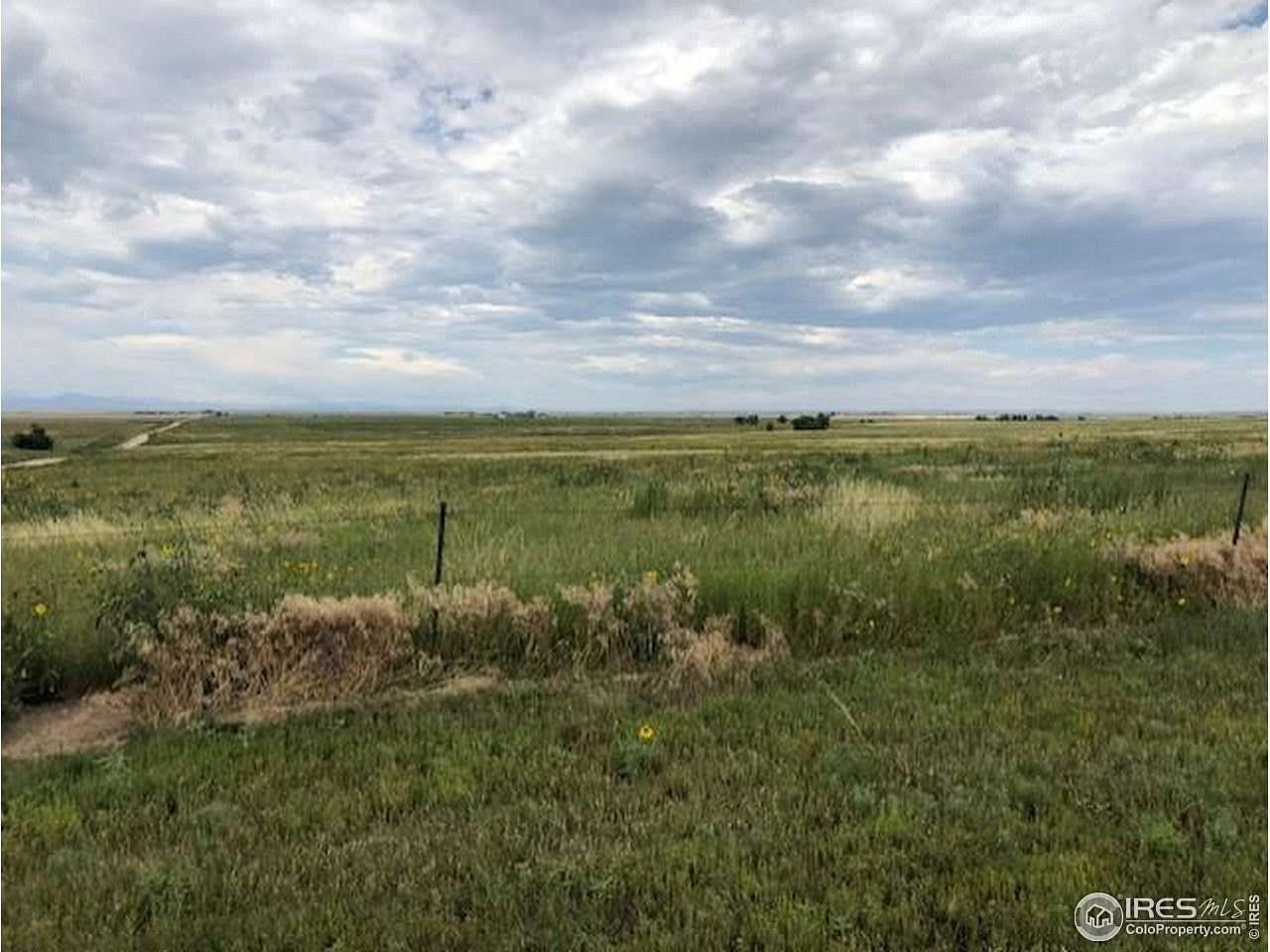 35 Acres of Agricultural Land for Sale in Pierce, Colorado