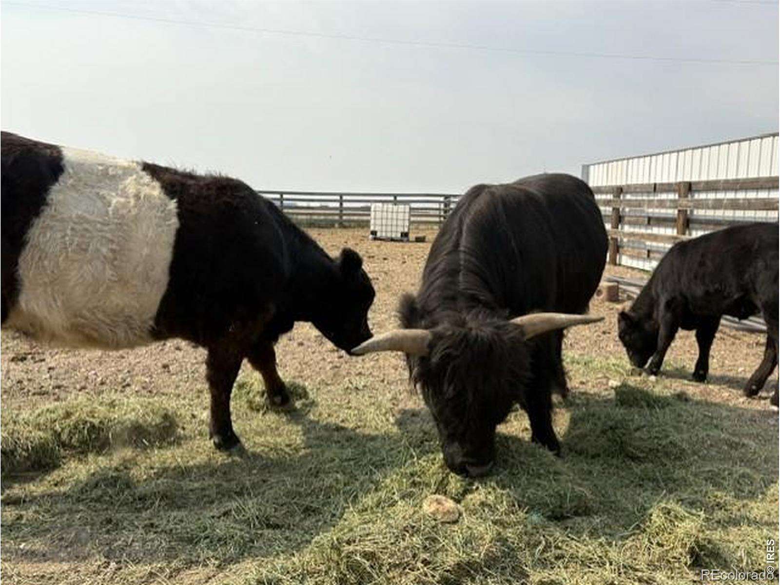35 Acres of Agricultural & Residential Land for Sale in Pierce, Colorado