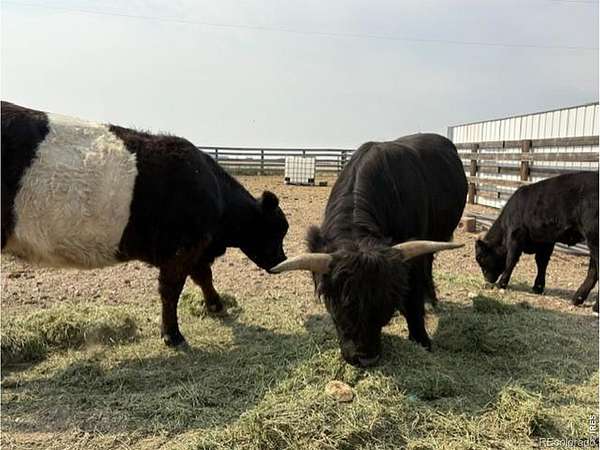 35 Acres of Agricultural & Residential Land for Sale in Pierce, Colorado