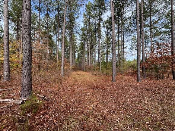 20 Acres of Land for Sale in McCormick, South Carolina