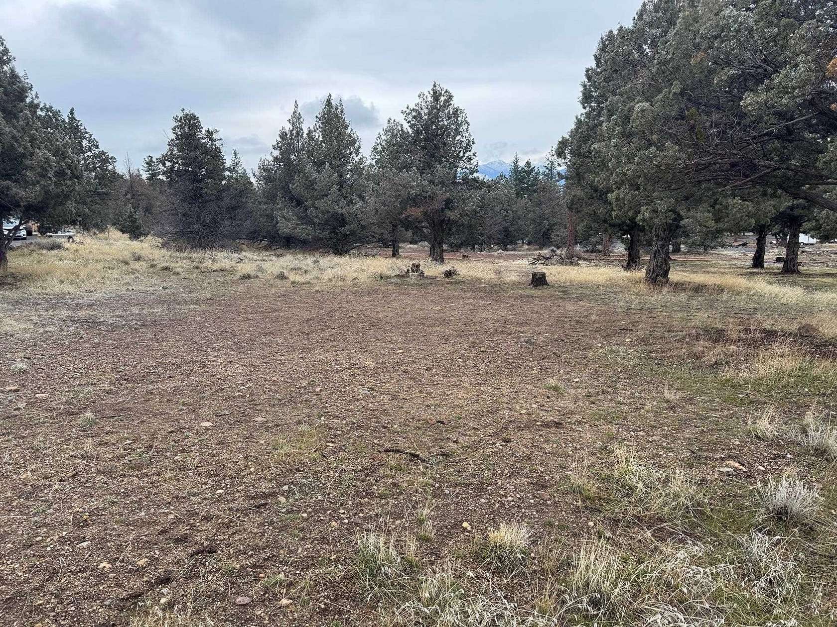 0.27 Acres of Residential Land for Sale in Weed, California