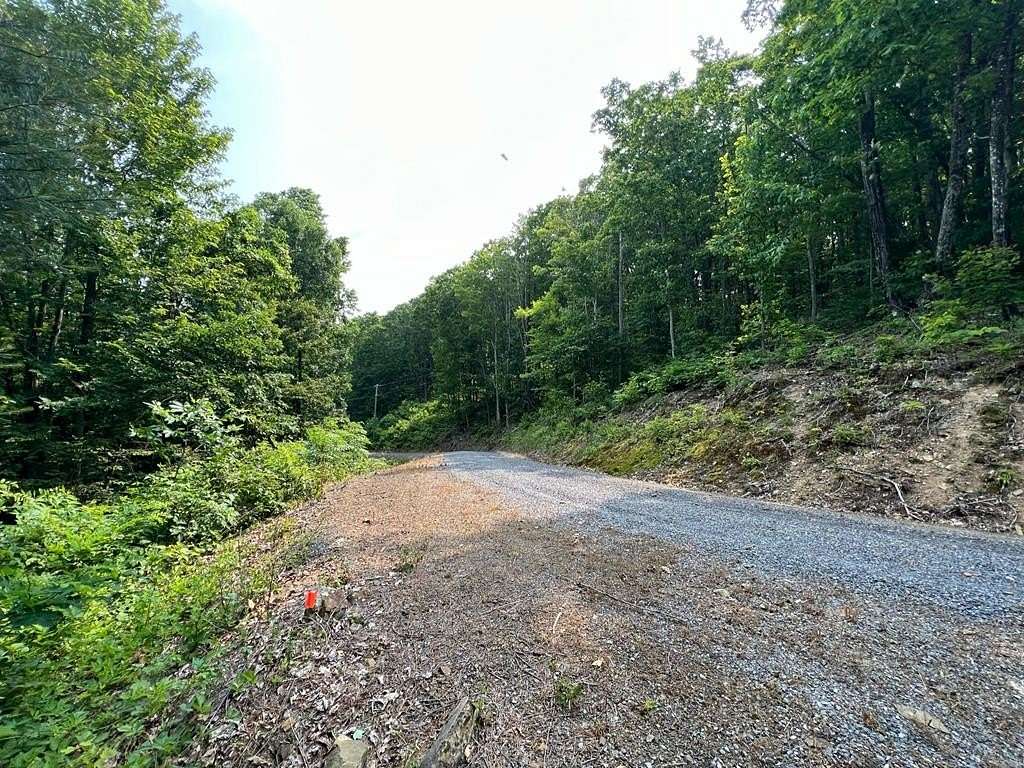 32.5 Acres of Land for Sale in White Sulphur Springs, West Virginia
