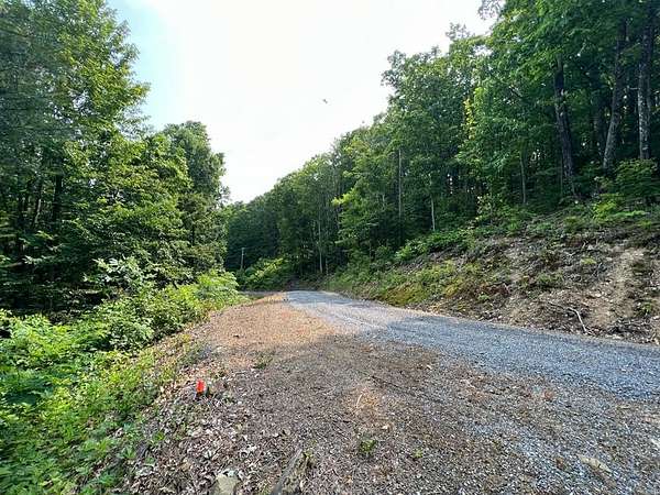 32.5 Acres of Land for Sale in White Sulphur Springs, West Virginia