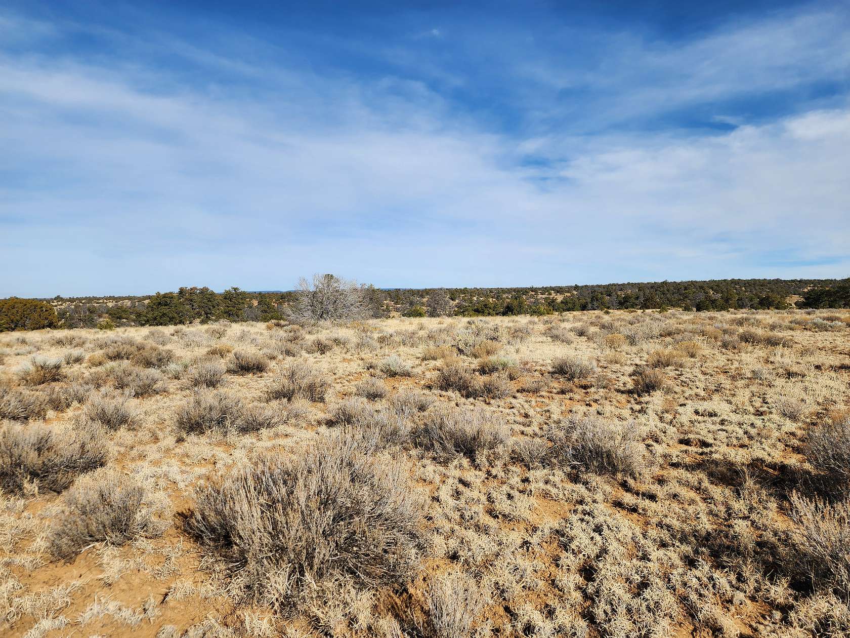 10 Acres of Recreational Land for Sale in Pinehill, New Mexico