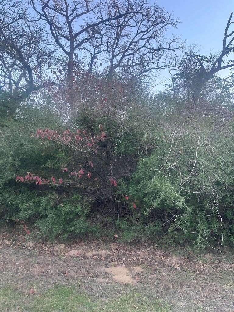 Residential Land for Sale in Hilltop Lakes, Texas