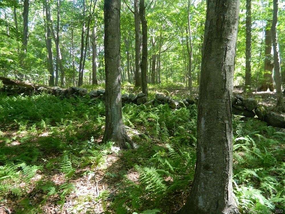 25.99 Acres of Land for Sale in Old Lyme, Connecticut