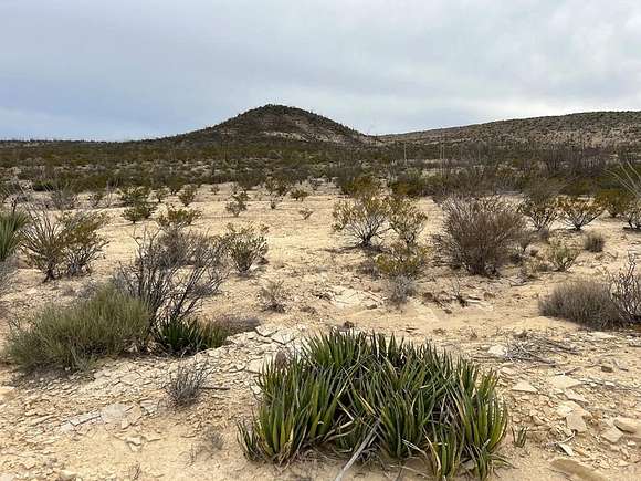 20 Acres of Recreational Land for Sale in Terlingua, Texas