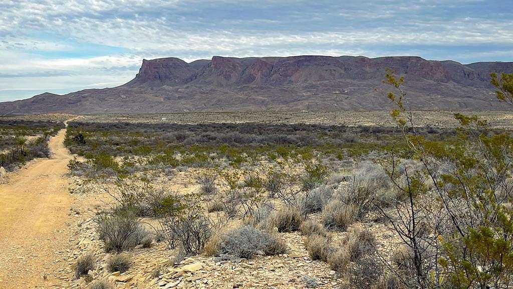 20 Acres of Recreational Land for Sale in Terlingua, Texas