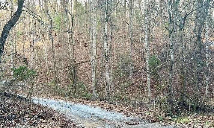 0.48 Acres of Residential Land for Sale in Sevierville, Tennessee