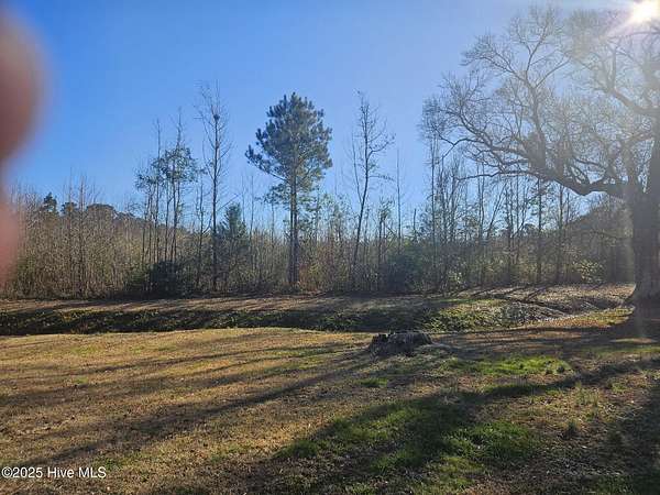 19 Acres of Land with Home for Sale in Willard, North Carolina