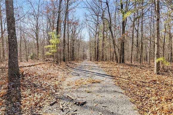 16.58 Acres of Land for Sale in Buchanan, Georgia