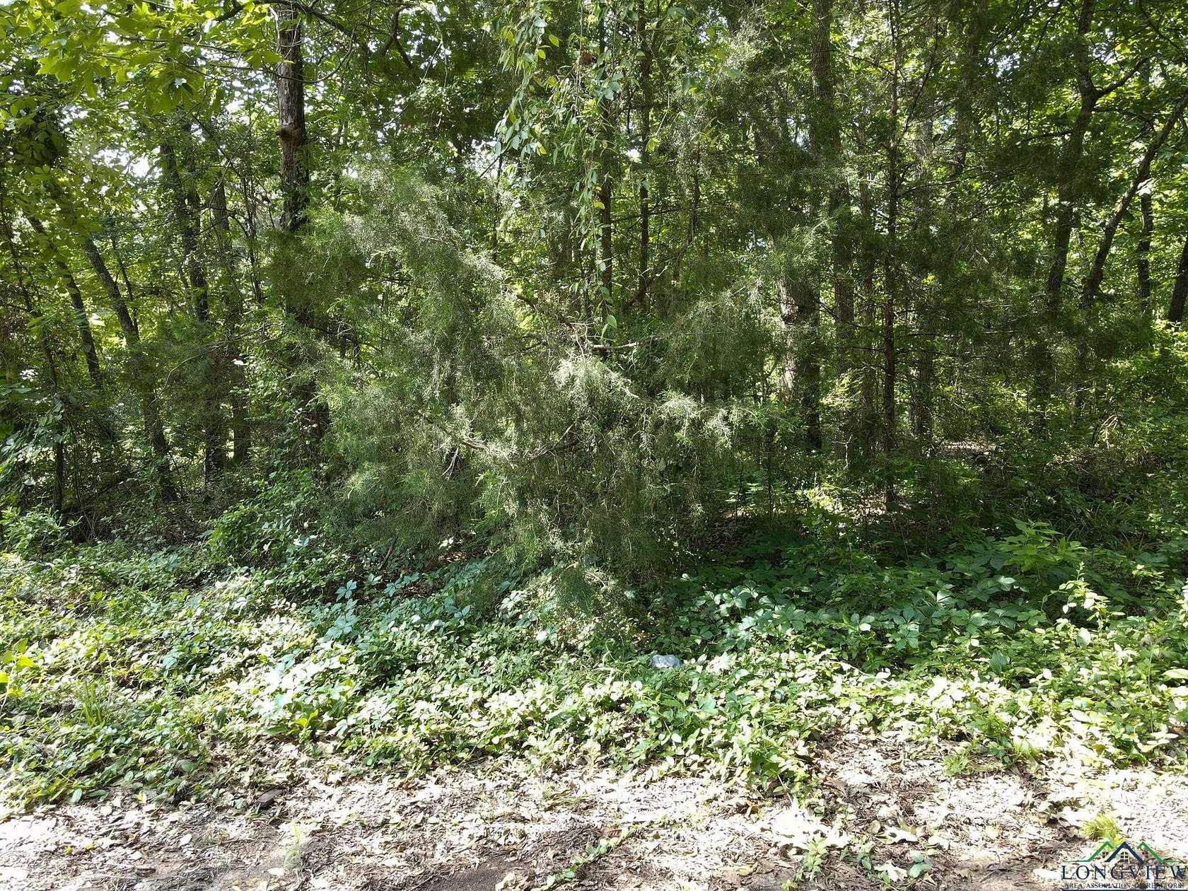 0.37 Acres of Land for Sale in Gilmer, Texas