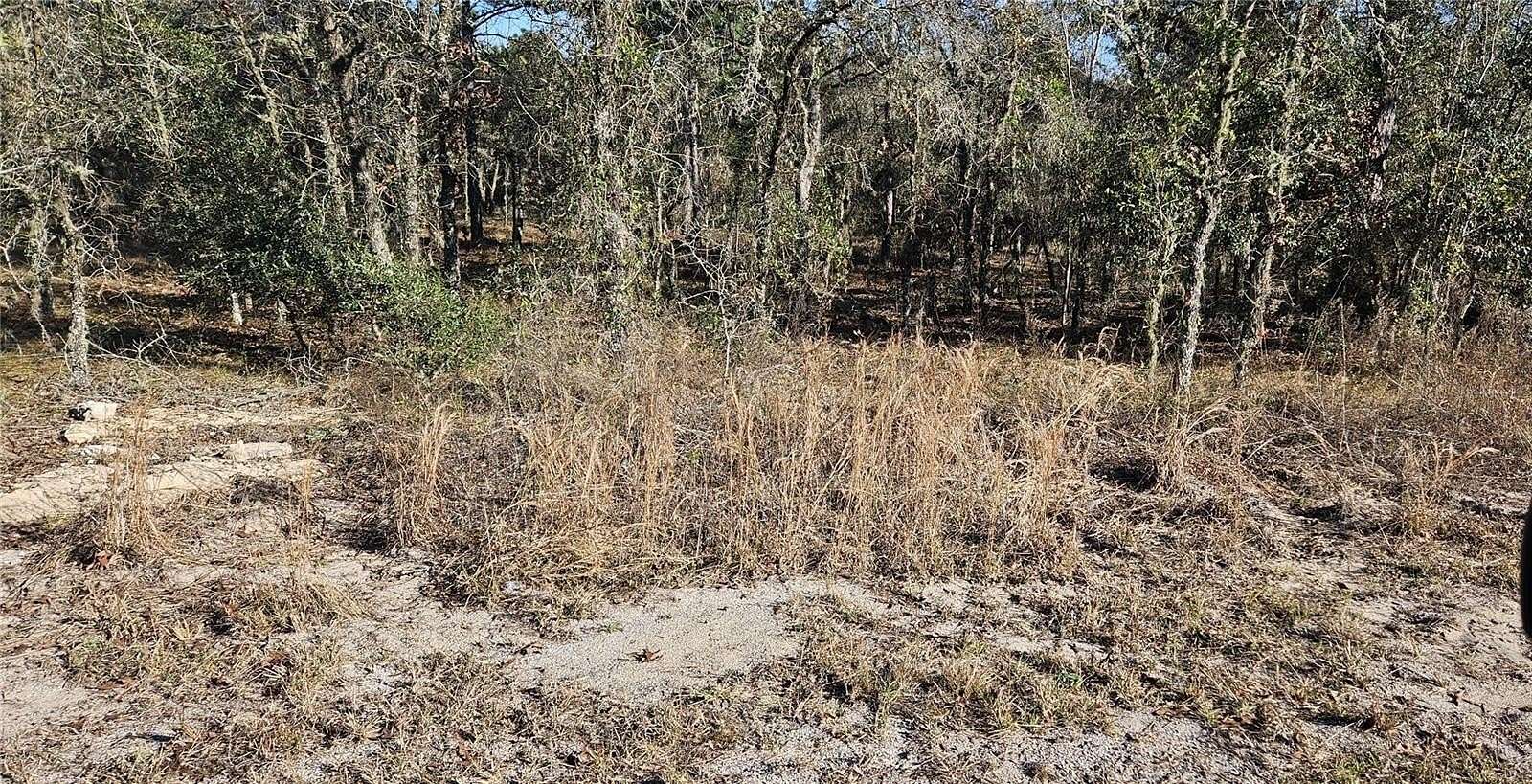 0.99 Acres of Residential Land for Sale in Dunnellon, Florida