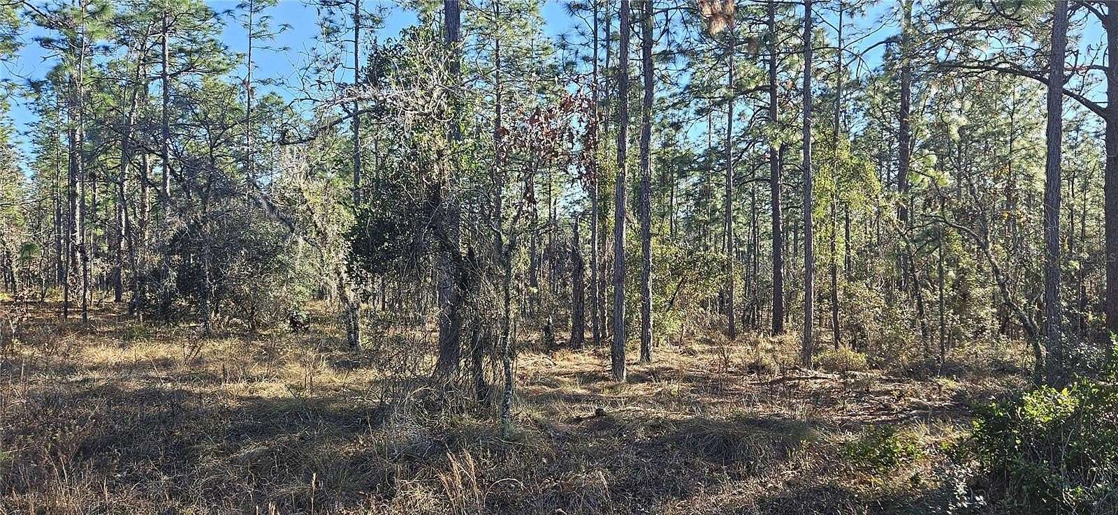 1 Acre of Residential Land for Sale in Dunnellon, Florida