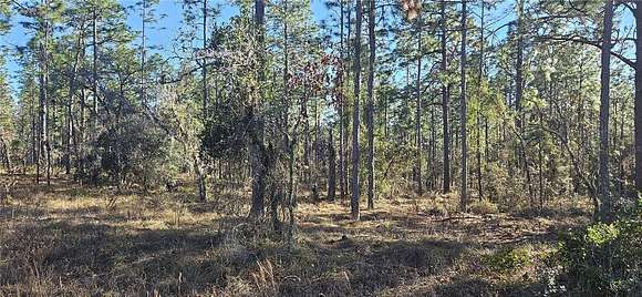 1 Acre of Residential Land for Sale in Dunnellon, Florida