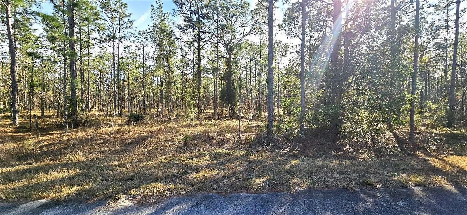 1.03 Acres of Residential Land for Sale in Dunnellon, Florida