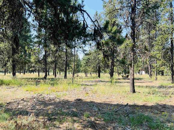 1.02 Acres of Residential Land for Sale in McCall, Idaho