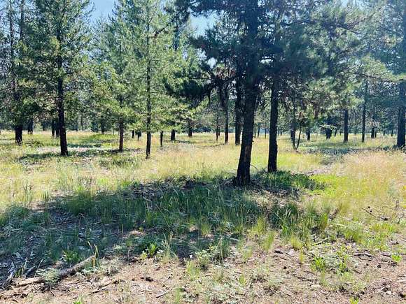 1 Acre of Residential Land for Sale in McCall, Idaho