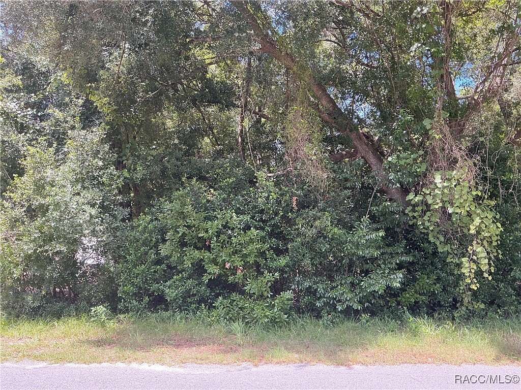 0.22 Acres of Residential Land for Sale in Inverness, Florida