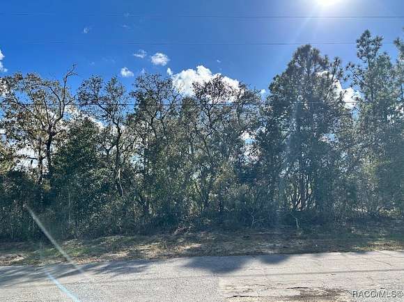 0.23 Acres of Residential Land for Sale in Citrus Springs, Florida