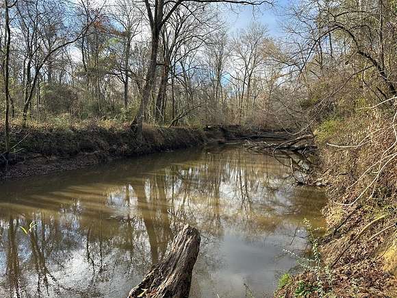 63 Acres of Recreational Land for Sale in Kosciusko, Mississippi