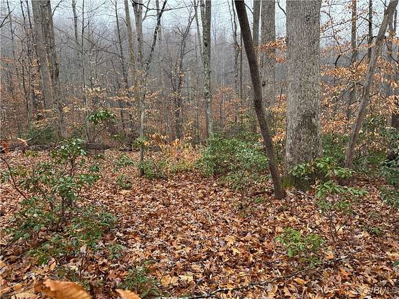 1 Acre of Land for Sale in Shipman, Virginia