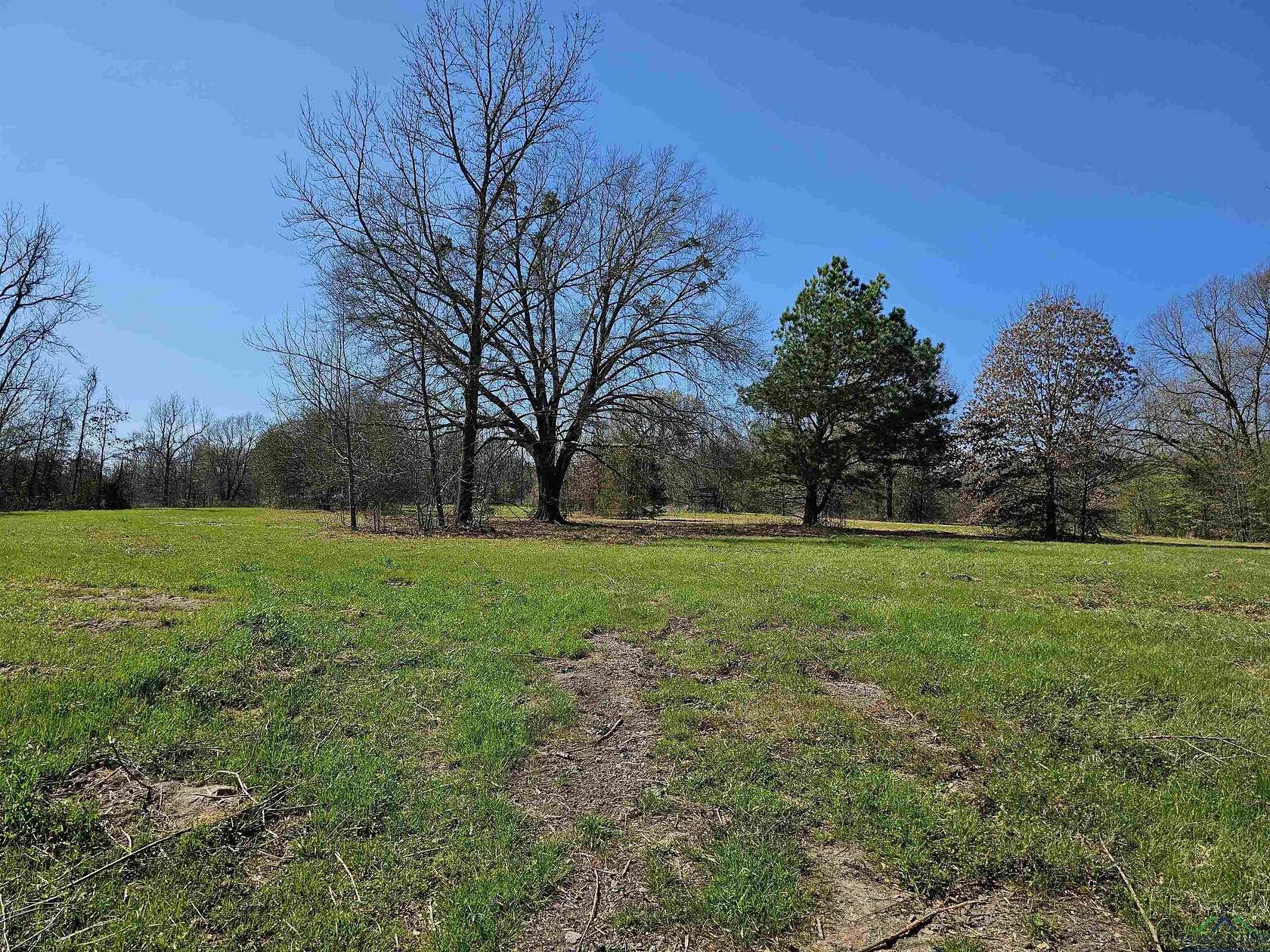 3.9 Acres of Land for Sale in Pittsburg, Texas