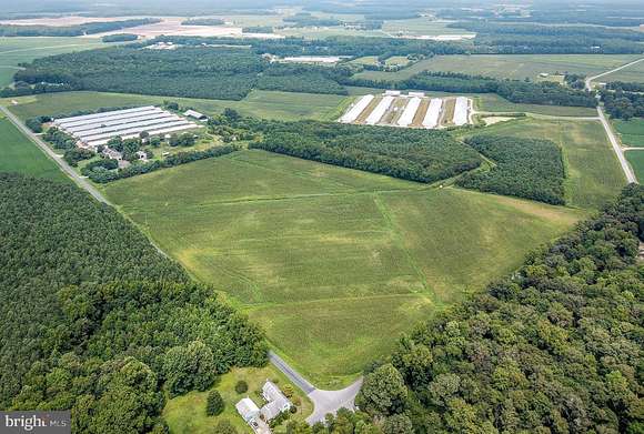 88.6 Acres of Land for Sale in Willards, Maryland