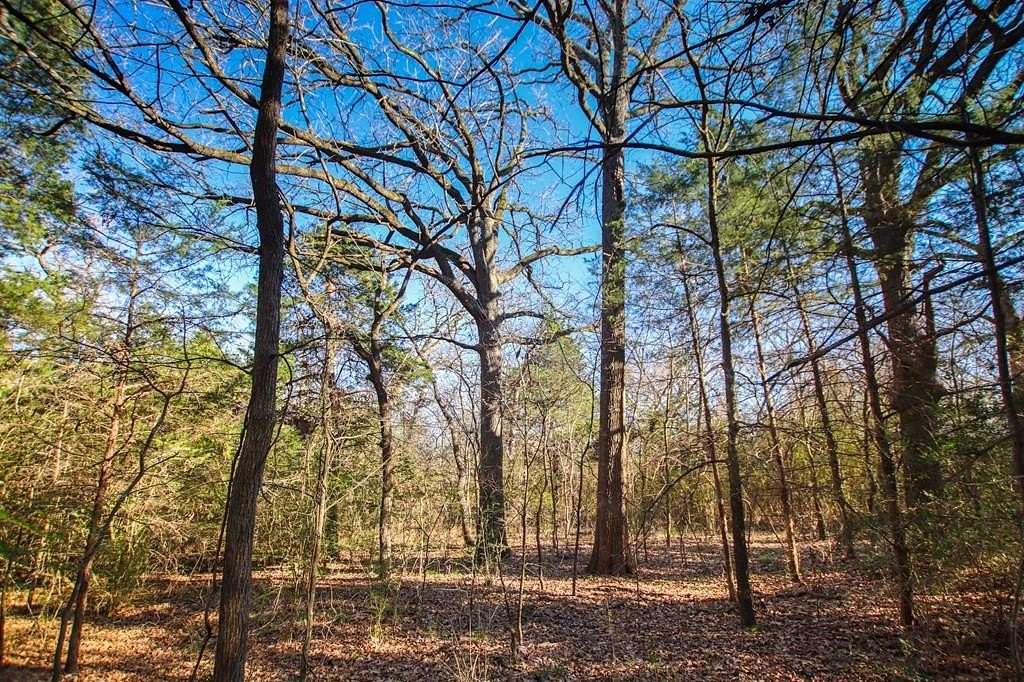 33.89 Acres of Land for Sale in Athens, Texas