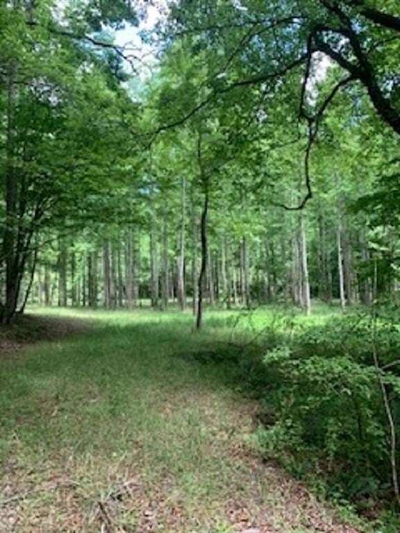 59.86 Acres of Recreational Land & Farm for Sale in Ellijay, Georgia