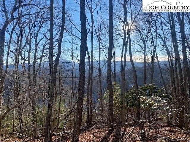 27.4 Acres of Land for Sale in Vilas, North Carolina